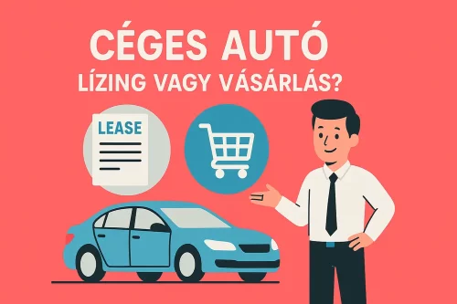 ceges-auto-lizing ceges-auto-lizing